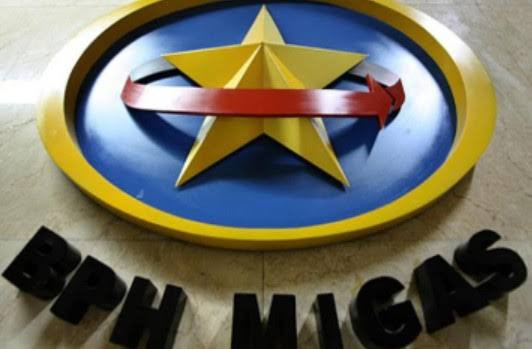Erika Retnowati, Wanita Pertama yang Pimpin BPH Migas (FOTO: MNC Media)