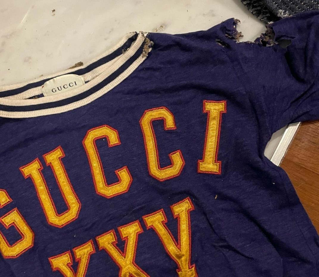 Kaos Gucci Xabiru yang dimakan rayap. (Foto: MNC Media)