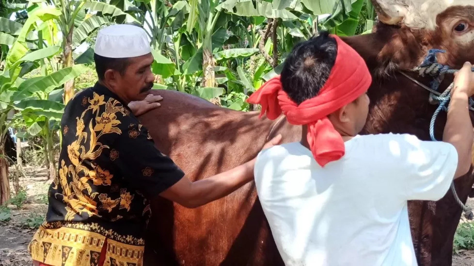 Ada Wabah PMK, Ini Persiapan Pedagang Sapi Kurban Jelang Idul Adha (foto: MNC Media)