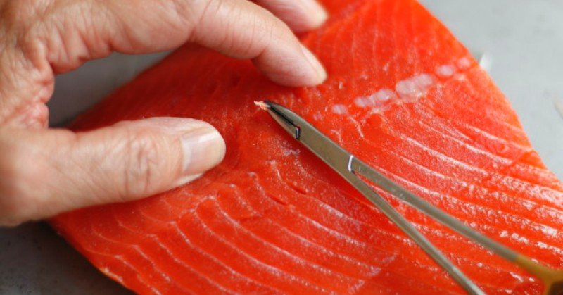 Jangan Dibuang, Tulang Ikan Bisa Jadi Peluang Bisnis. (Foto: MNC Media)