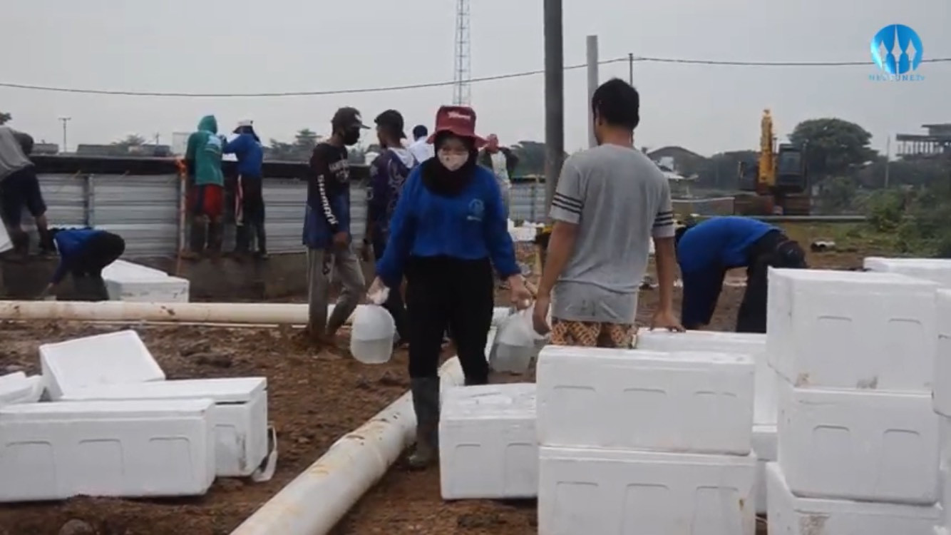KKP Luncurkan Program MSF untuk Cetak Pengusaha Milenial Lewat Budidaya Udang (Dok.MNC Media)