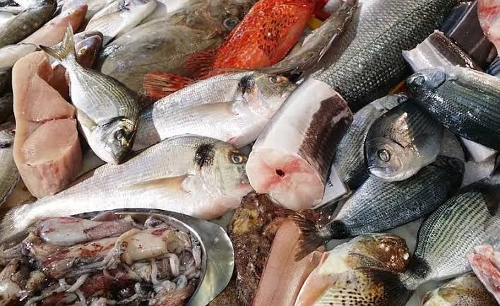 Gantikan Salmon, Sandiaga Sebut Ikan Patin HarusÂ Go InternationalÂ  (FOTO:MNC Media)