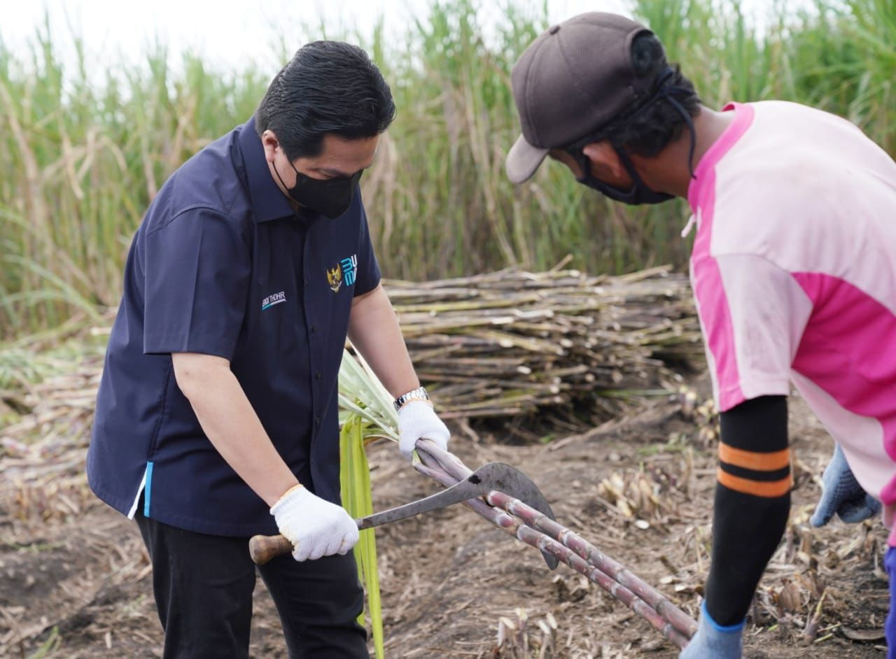 Erick Thohir Minta Petani Dilibatkan untuk Wujudkan Swasembada Gula. (Foto: MNC Media)