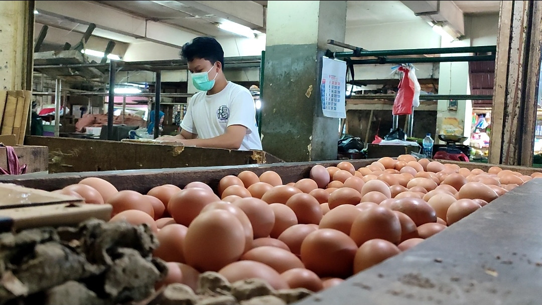 20 Tahun Jualan, Pedagang di Pondok Gede Keluhkan Harga Telur Saat Ini Paling Anjlok(Dok.Ist)