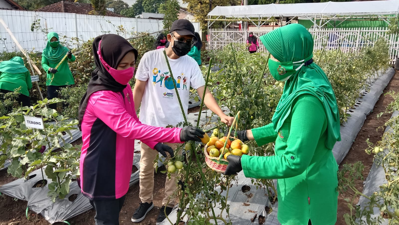MNC Peduli dan Bhayangkari Boyolali Beri Pelatihan Tanam Sayur Organik (Dok.MNC Media)