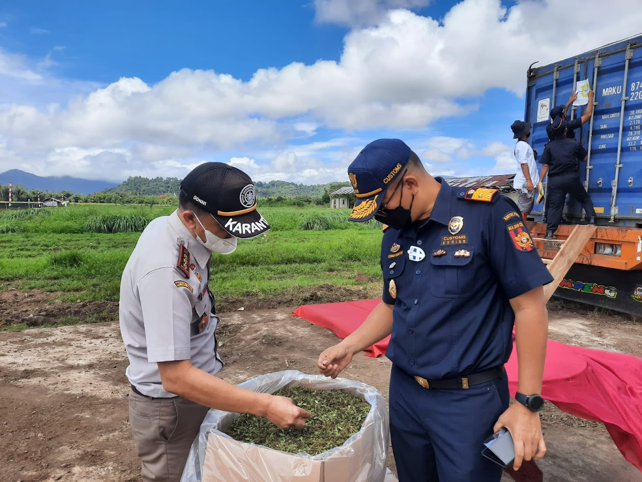Mantap! 2 Ton Tanaman Stevia Asal Minahasa Tembus Pasar Korsel. (Foto: MNC Media)