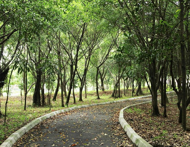 Hutan Kota (Ilustrasi)