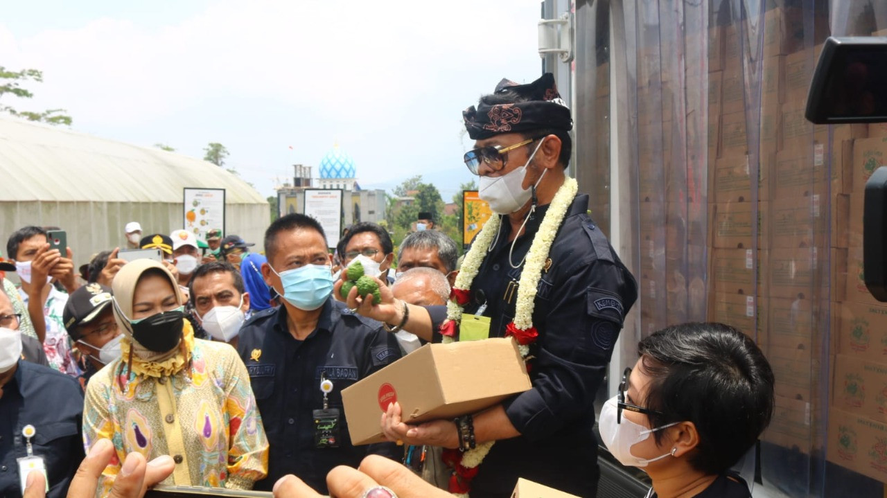 Walau Kecut, Jeruk Purut dari Kota Batu Tembus Pasar Belanda dan Prancis (FOTO: MNC Media)