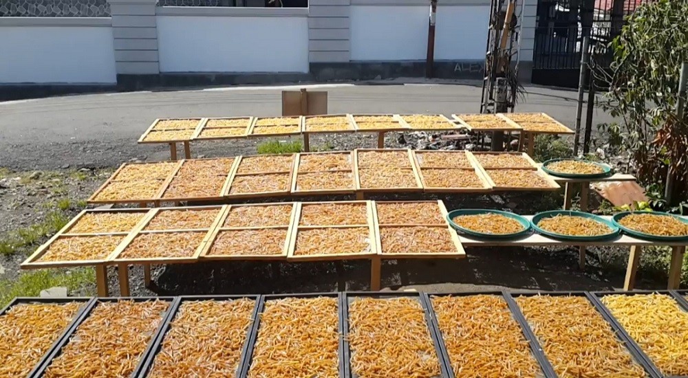 Keripik ikan tuna (MPI)