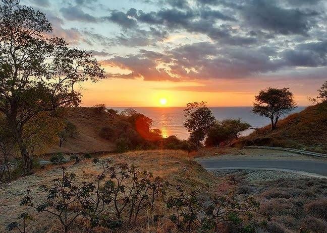 Pulau Timor NTT Jadi Incaran Pembangunan Proyek PLTBiomassa (FOTO:MNC Media)