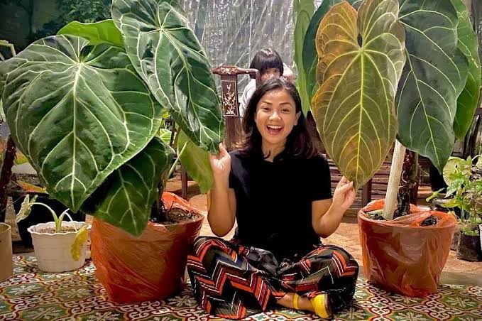 Kena Tipu ART Senilai Rp17 Miliar, Nirina Zubir: Saya Sakit Hati (FOTO:MNC Media)