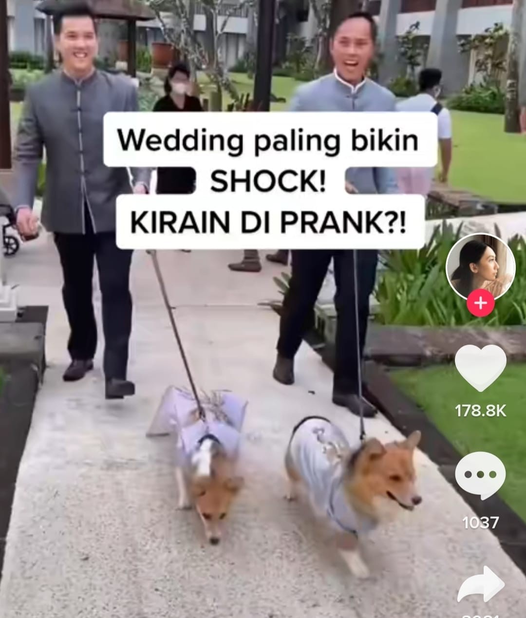 Akun Christie Basil mengunggah video di balik pembuatan baju pengantin untuk sepasang mempelai yakni dua ekor anjing.  (Foto: MNC Media)