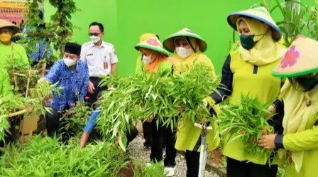 Hasil panen urban farming tersebut mencapai 1.132 kilogram. (Foto: MNC Media)