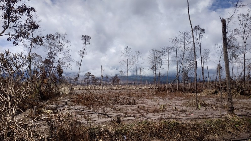 Erupsi Gunung Semeru menghancurkan segala sendi perekonomian warga sekitarnya. (Foto: Avirista)