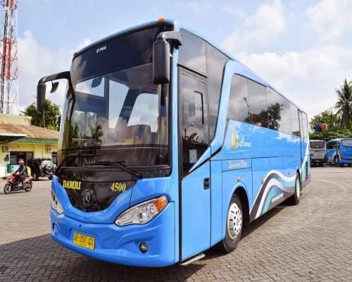 Damri Prediksi Penumpang Melonjak hingga 30 Persen Selama Nataru (FOTO:MNC Media)