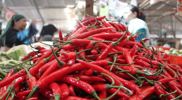 Makin Pedas! Harga Cabai Rawit Melonjak hingga Rp100 Ribu per Kilogram (FOTO:MNC Media)