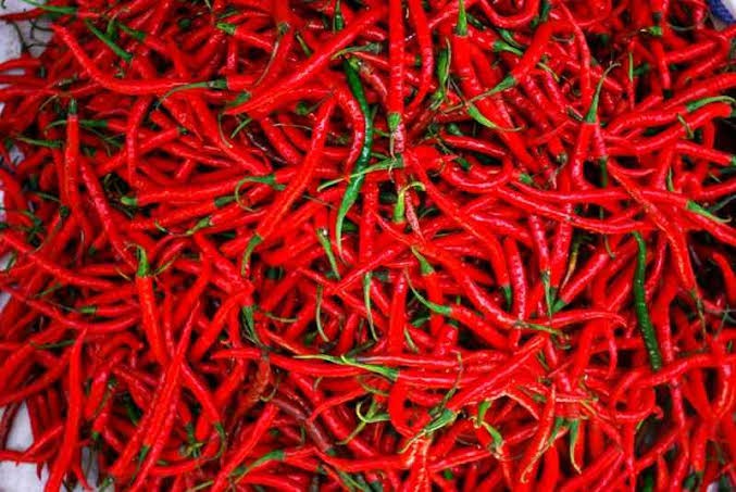 Tertinggi Sejak Tahun Lalu, Harga Cabe di Pasar Bekasi Meroket Rp100.000 per Kilogram (FOTO:MNC Media)