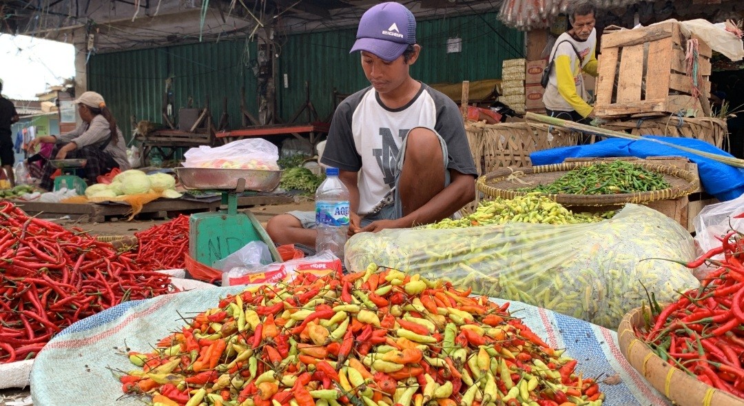 Harga Cabai Diprediksi Terus Meroket hingga Tahun Baru, Pedagang: Penjualan Menurun (FOTO:MNC Media)