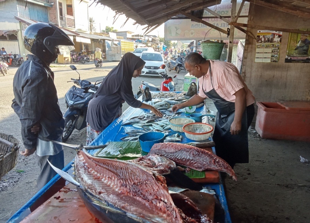 Harga Ikan Meroket hingga Rp70 Ribu per Kilo Imbas Cuaca Ekstrem di Pidie Jaya (FOTO:MNC Media)