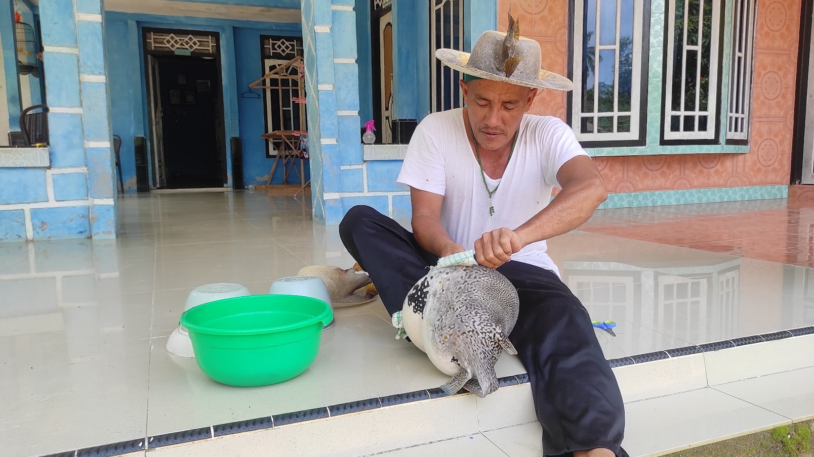 Disulap Jadi Peci dan Topi Koboy, Kerajinan Ikan Buntal Ini Datangkan Rezeki. (Foto: MNC Media)