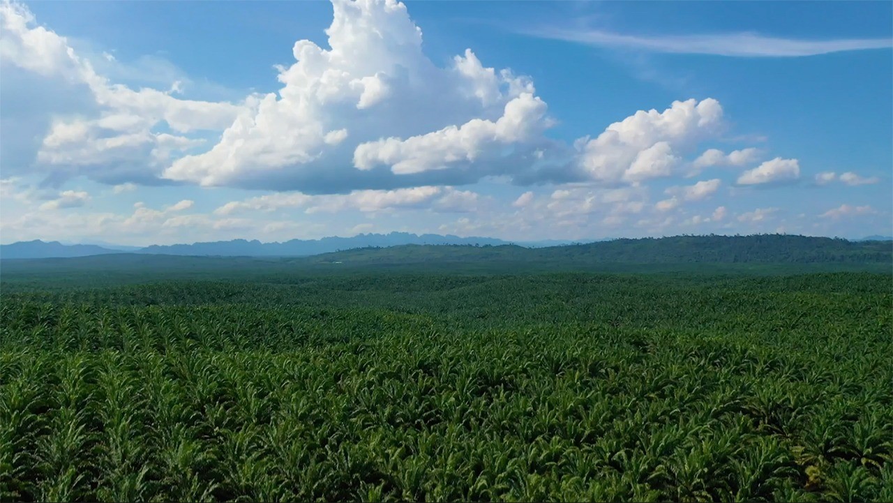 Teladan Prima Agro (TPA) Dorong Transformasi Digital di Industri Kelapa Sawit (FOTO:Dok Ist)