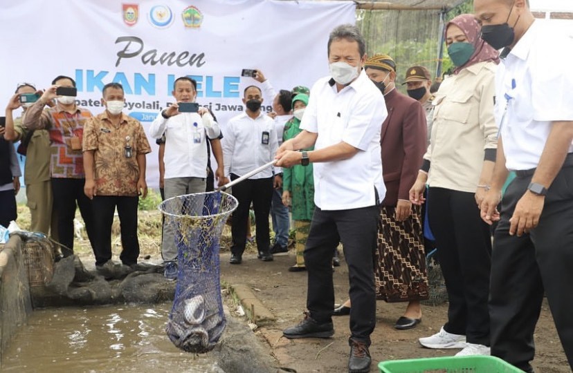 Hasilkan 600 Ton Ikan per Bulan, Menteri KKP Tinjau Kampung Lele Boyolali  (Dok.KKP)