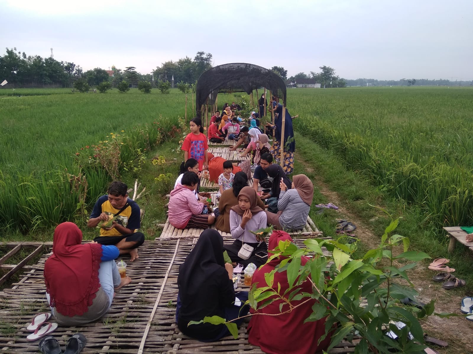 Jangan Dianggap Remeh, Pasar Kuliner Pinggir Sawah Ini Punya Omzet Jutaan Rupiah. (Foto: MNC Media)