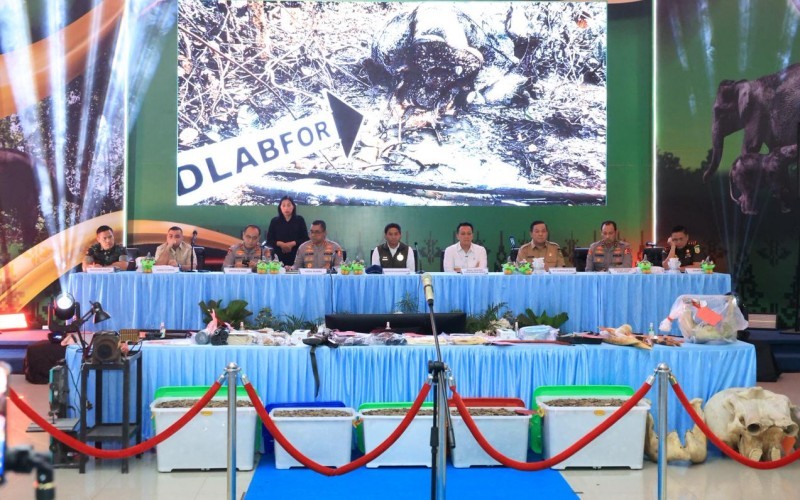 Polri Bongkar Jaringan Perburuan Gajah Sumatera, 15 Orang Diamankan