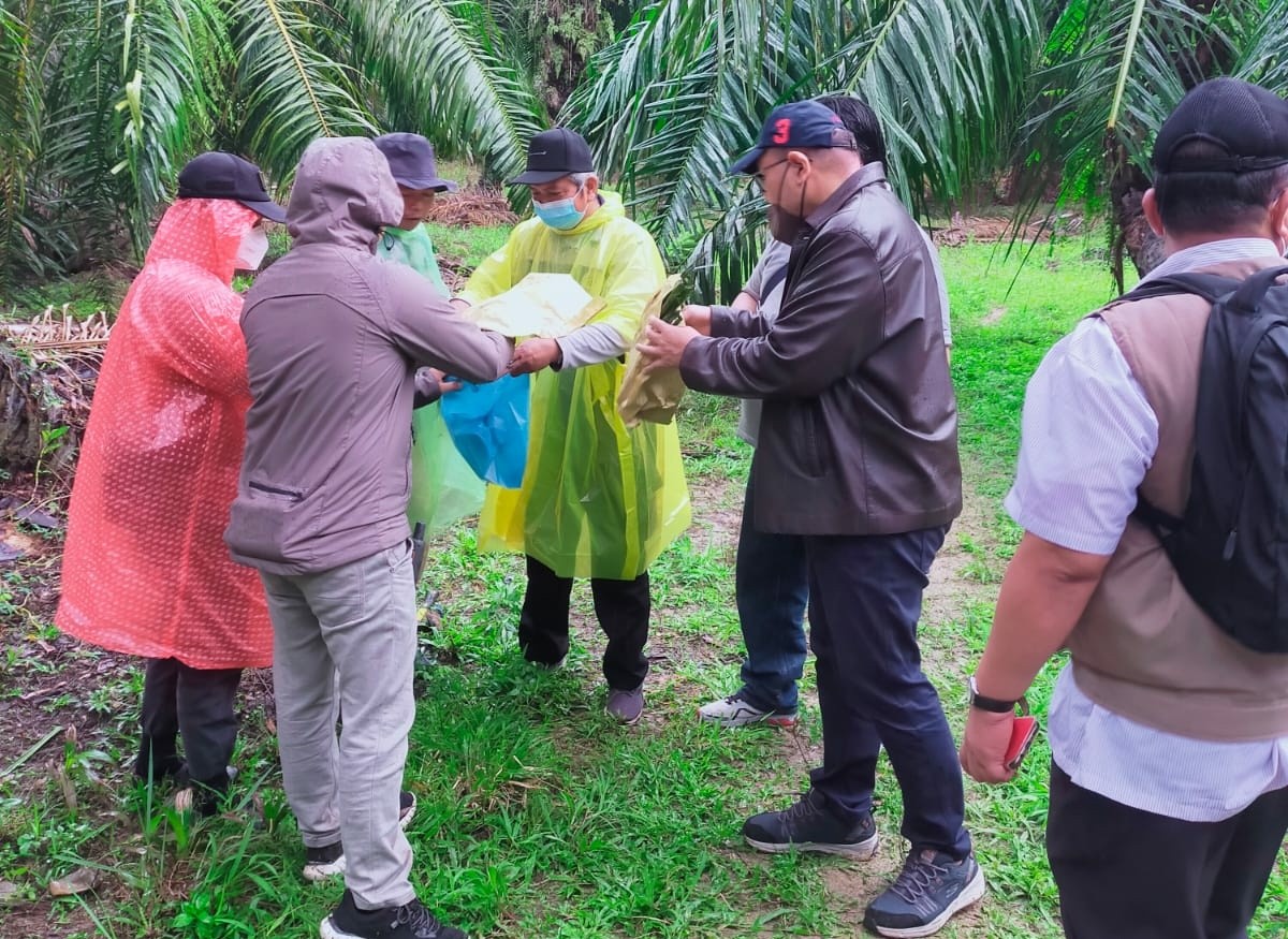Usut Kasus Mafia Tanah Kebun Sawit di Langkat, Kejati Sumut Panggil Ahli dari IPB (Dok.MNC)