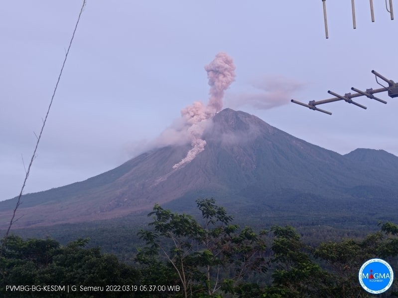 Gunung Semeru Erupsi Lagi, Berikut Instruksi PVMBG