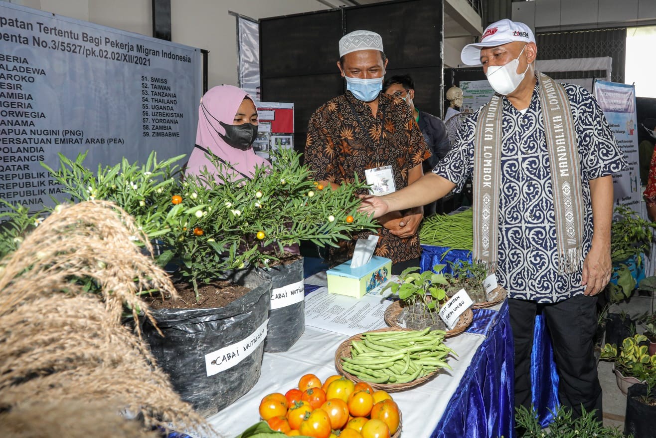 NTB Jadi Role Model Transformasi UMKM Berbasis Inovasi dan Teknologi, Ini Buktinya. (Foto: MNC Media)
