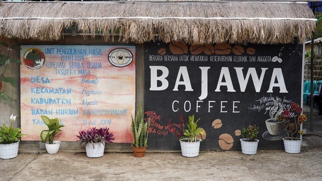 Diminati Pasar Dunia, Kopi Flores Bajawa Terkendala Skala Produksi (foto: MNC Media)