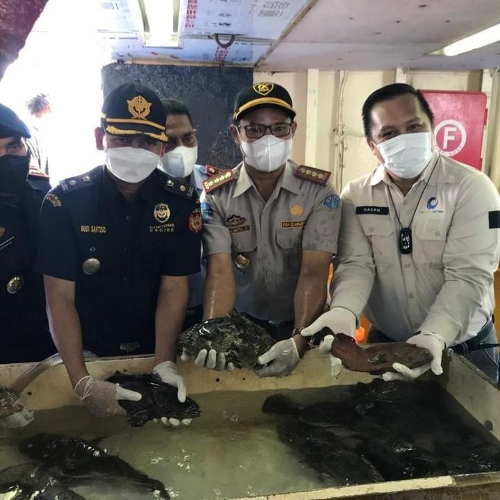 KKP Lepas Ekspor 14.161 Ikan Kerapu ke Hong Kong (foto: MNC Media)