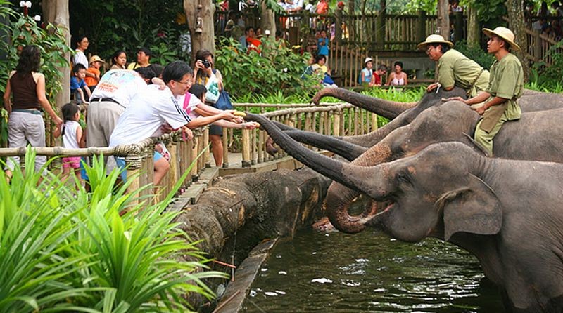 gaji zookeeper taman safari