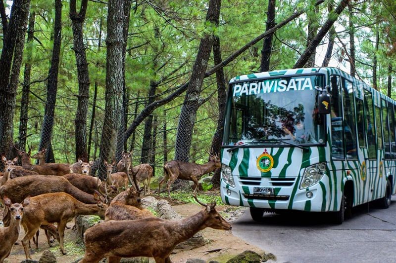 Biar Liburan Bervariasi, Ini Tujuh Destinasi Wisata Lebaran 2022 di Jabodetabek. (Foto: MNC Media)