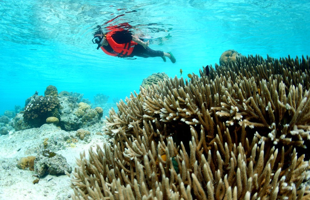Selain Bahagia, Ini Lima Manfaat Snorkeling untuk Kesehatan (foto: MNC Media)