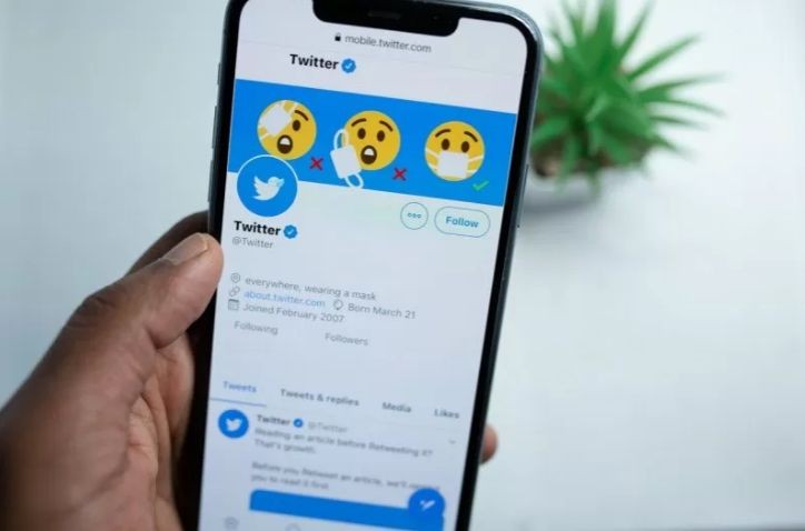 5 Selebtwit Terkaya di Indonesia, Ada yang Jadi Bintang Film hingga Youtuber. (Foto : MNC Media)