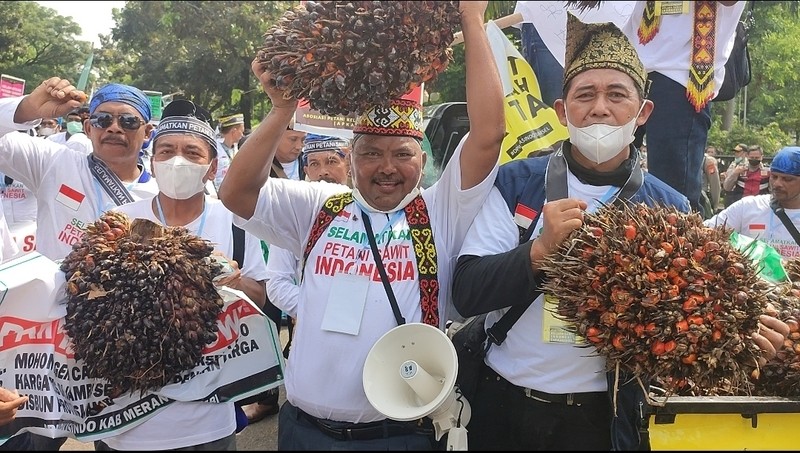 Petani Sawit Mau Demo Besar Lagi, Ada Apa? (FOTO: MNC Media)