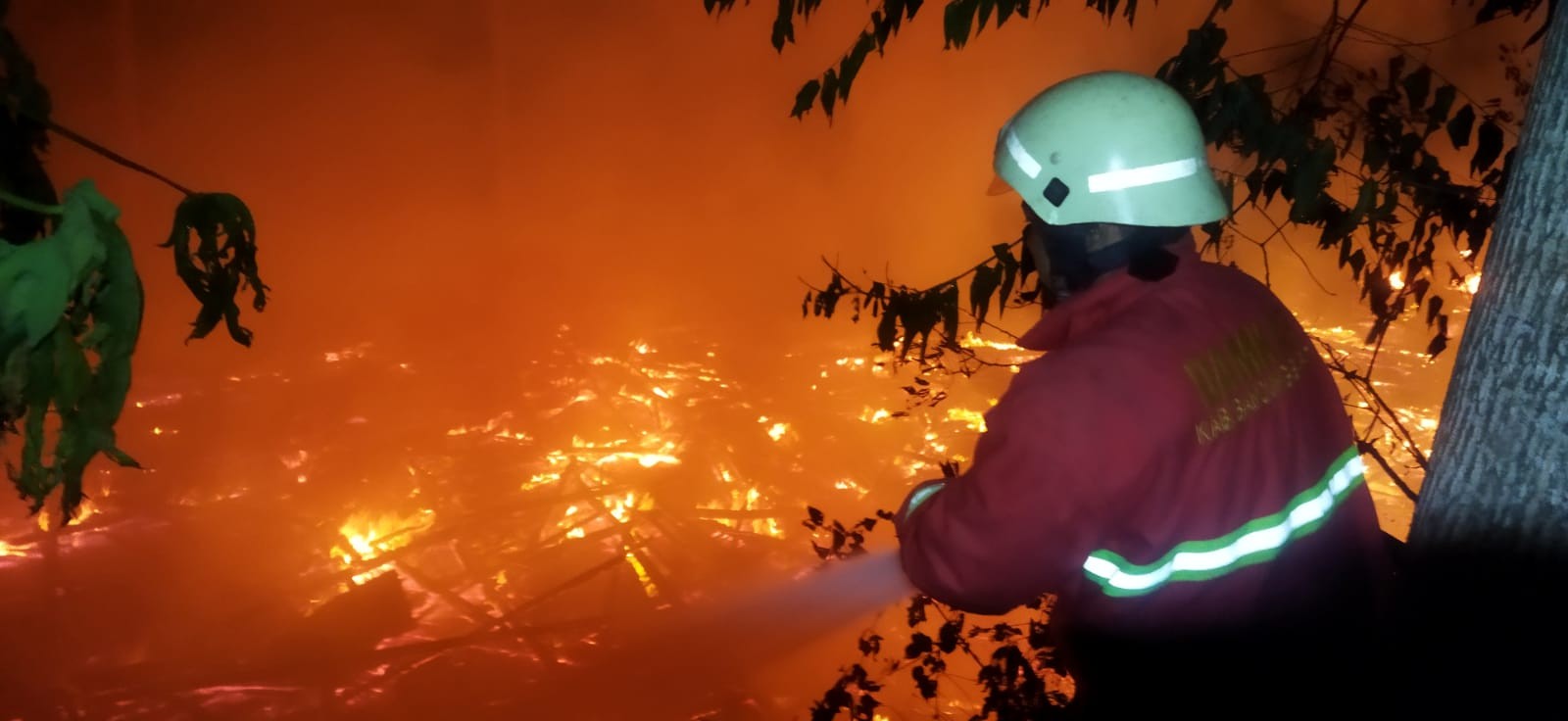 8 Ribu Ayam Boiler Hangus Terbakar, Peternak Rugi hingga Rp100 Juta (FOTO:MNC Media)
