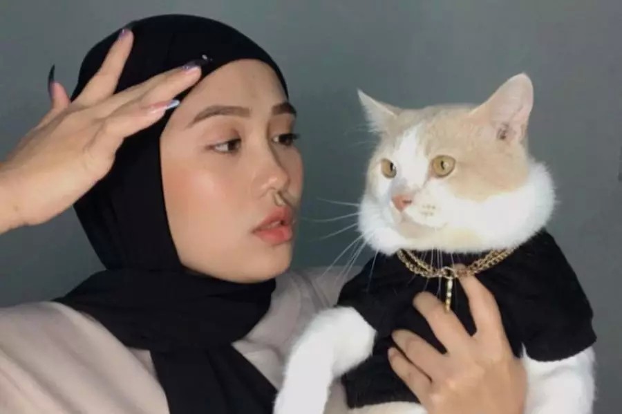11 Ras Kucing Termahal di Dunia, Pororo Termasuk ke Mana? (Foto: MNC Media)
