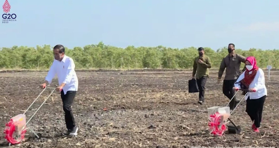 Minta Sorgum Jadi Alternatif Pangan, Jokowi: Jangan Bergantung pada Beras (FOTO:Dok Ist)