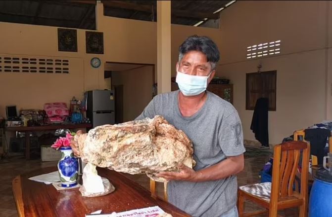 Harga Ambergris Muntahan Paus Tembus Rp21 Miliar, Kok Bisa? (Foto: MNC Media)