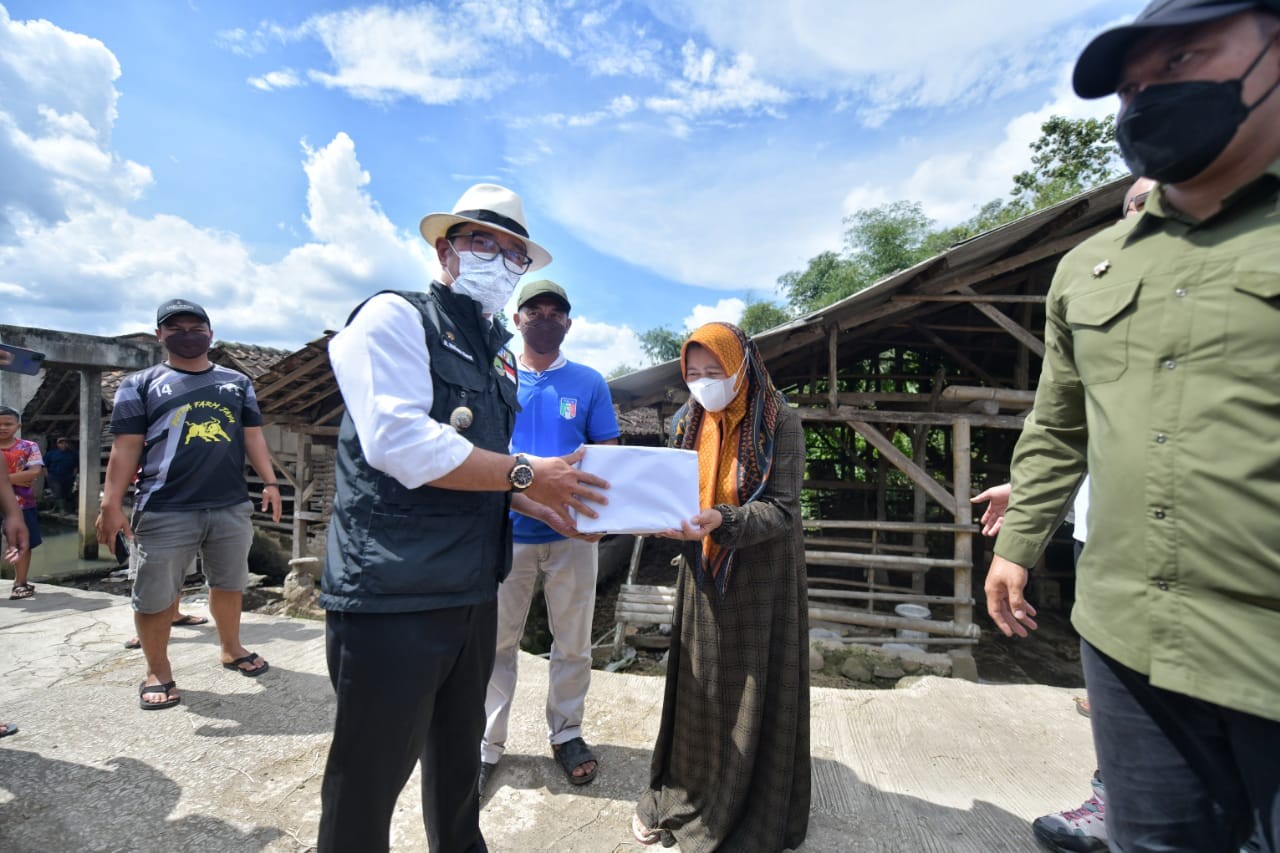 Gubernur Jabar, Ridwan Kamil saat menyerahkan bantuan obat-obatan kepada peternak sapi di Desa Pasir Jambu, Kabupaten Bandung, Rabu (8/6/2022).