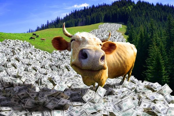 Apa Itu Saham Cash Cow? Begini Pengertian dan Kebelihannya. (Foto: Apa Itu Saham Cash Cow)