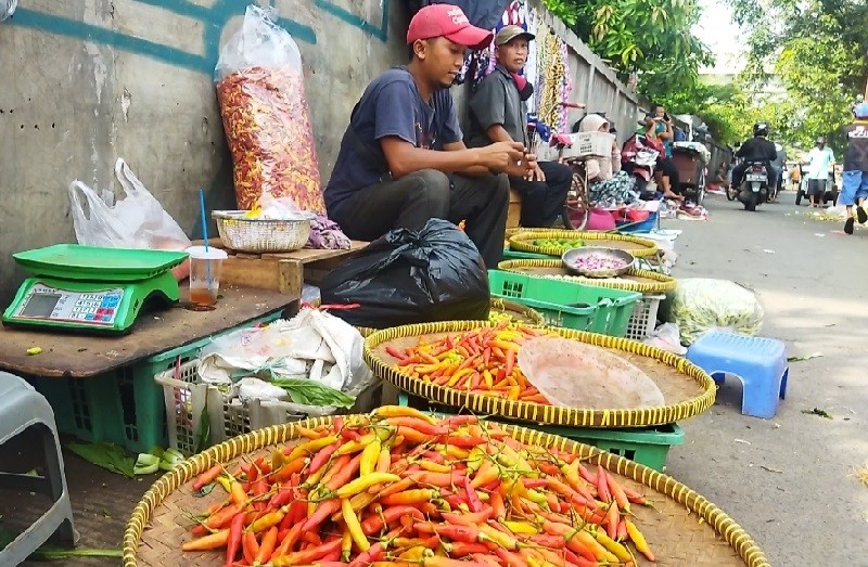 Harga Cabai Terus Naik, Pedagang Pusing Mikirin Modal