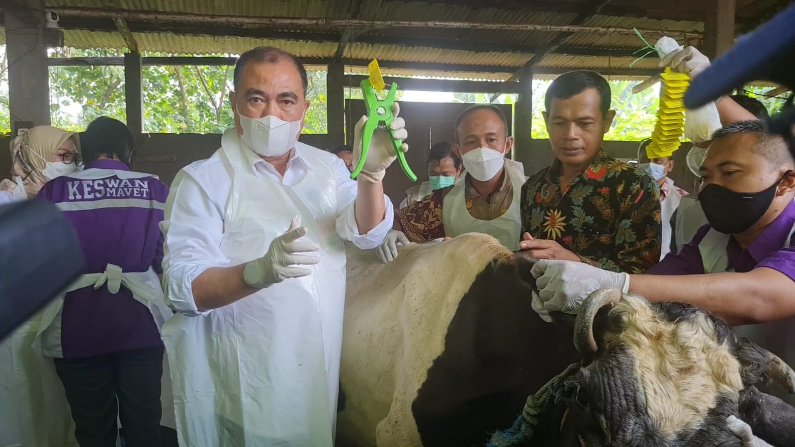Cegah Penyebaran Wabah PMK, Kementan Mulai Vaksinasi Perdana ke Hewan Ternak (FOTO:Dok Ist)