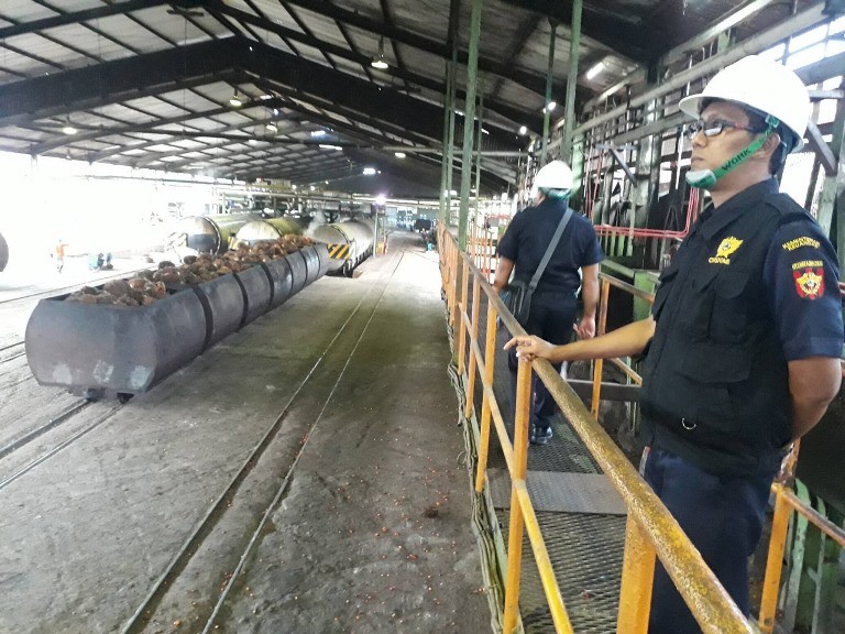 Harga Sawit di Petani Merosot, Luhut Bakal Perlonggar Ekspor CPO (FOTO: MNC Media)