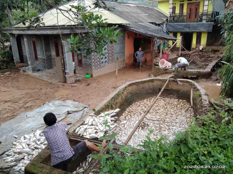 Pamijahan Bogor Diterjang Banjir dan Longsor, 5 Ton Ikan Gagal Panen  (Dok.MNC)