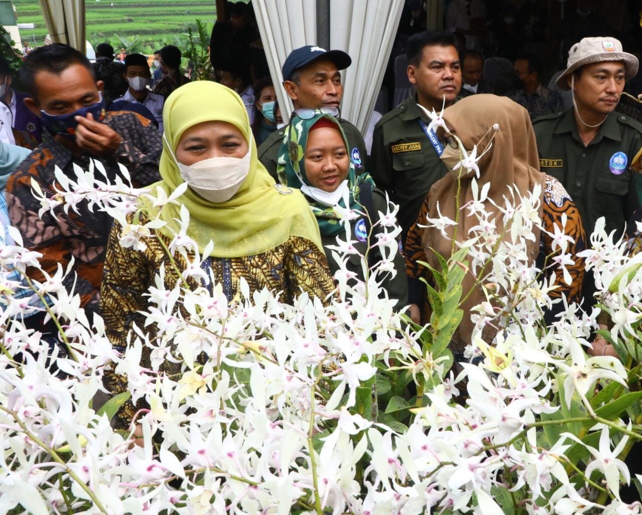 Ekspor Anggrek Jatim Terhambat Imbas Regulasi Karantina Flora (Dok.MNC)