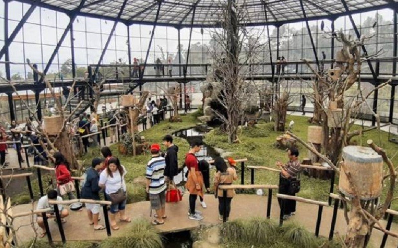 Musim Liburan Sekolah, Pengunjung Lembang Park and Zoo Naik 70 Persen (Dok.Sindonews)